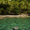 A tourist snorkeling along Abomn's southern coast, Indonesia.