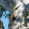 IMG_4548